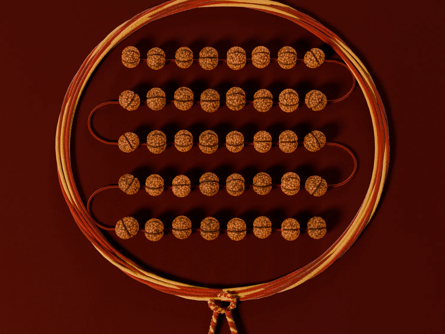 Forty rudraksha beads laid in five rows, a red and yellow mauli tied around them